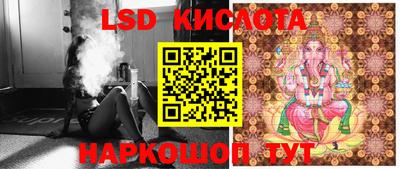 PSILOCYBIN Жуковский