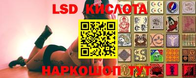 стафф Заволжье