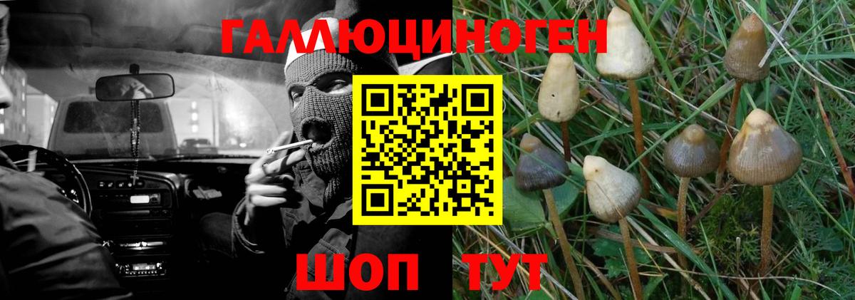 Галлюциногенные грибы прущие грибы Кондопога