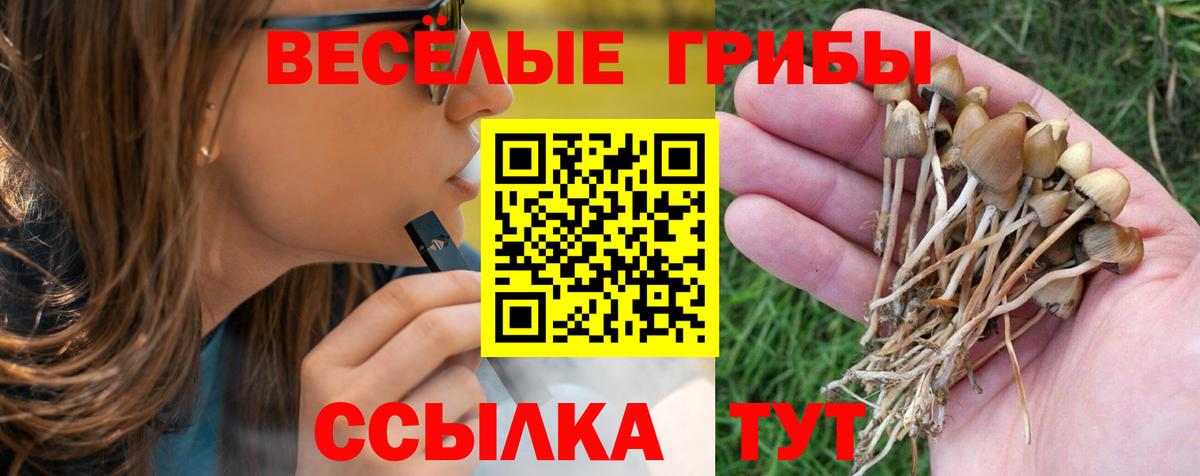 Галлюциногенные грибы GOLDEN TEACHER  Вход с VPN  Кондопога 